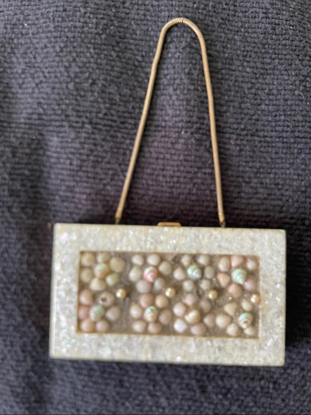 RARE vintage Wilardy Cream Beaded Shell antique mirrored handbag